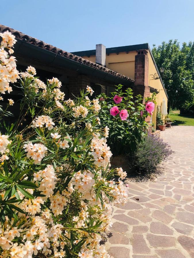 Вілла La Casa Nei Campi Badia Pavese Екстер'єр фото
